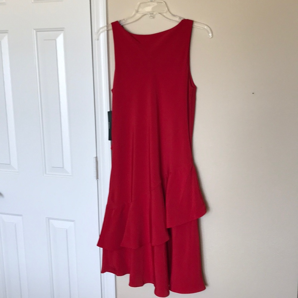 Ralph Lauren dress:  size 6 - Picture 3 of 4